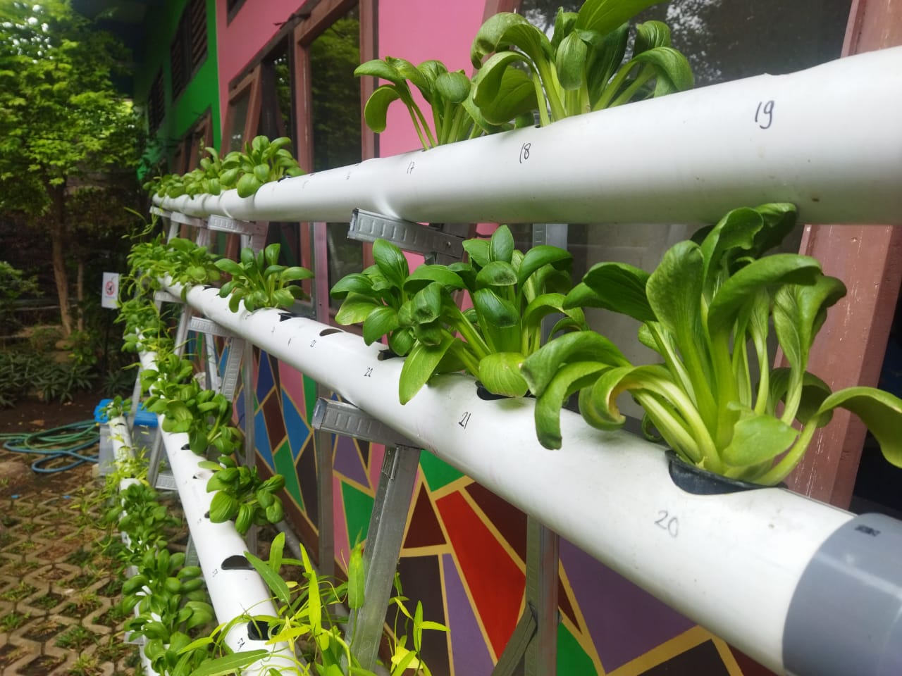 Sistem Hidroponik SMK Negeri 9 Semarang